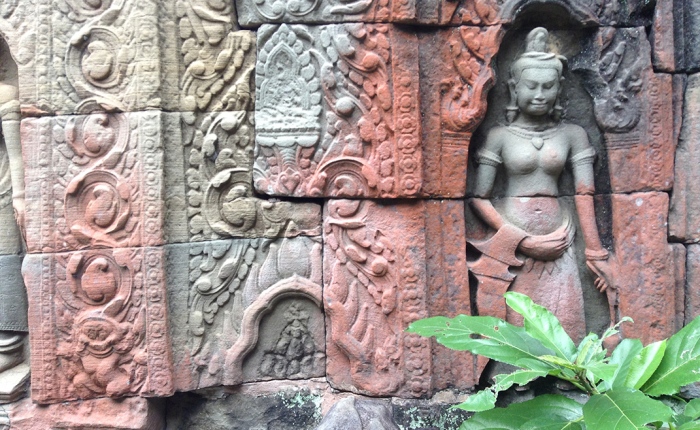 Exploring Cambodia, Day 3 & 4: elephants, lions, and flying frogs